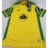 A Norwich City FC 2021-22 season home shirt, brand new with original tags. Size L, small mark to