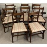 A set of 8 Regency curved leg dining chairs with panelled backs, 2 carvers and 6 chairs.