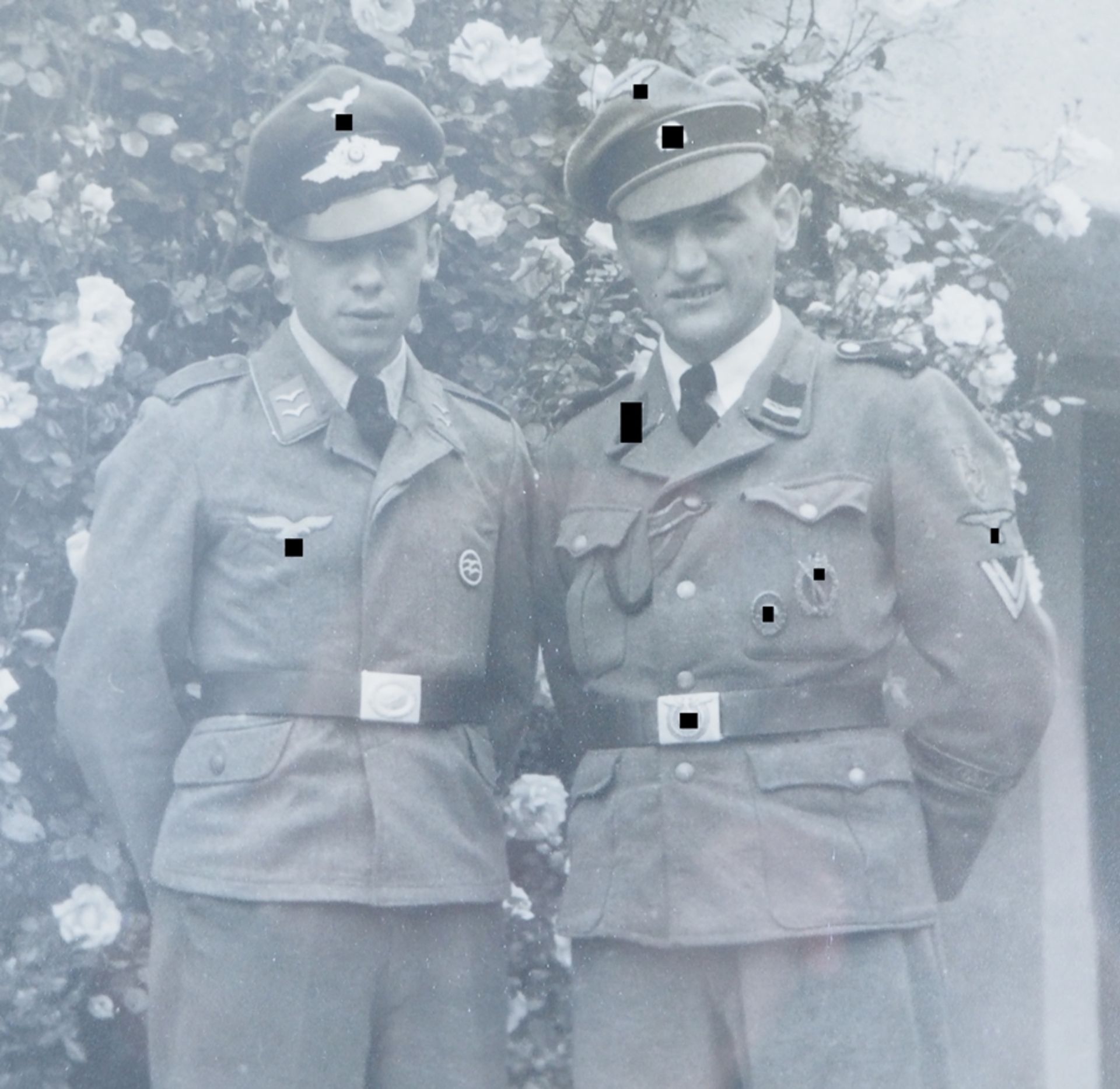 Waffen-SS / Luftwaffe: Gerahmtes Porträt-Foto. - Bild 2 aus 2