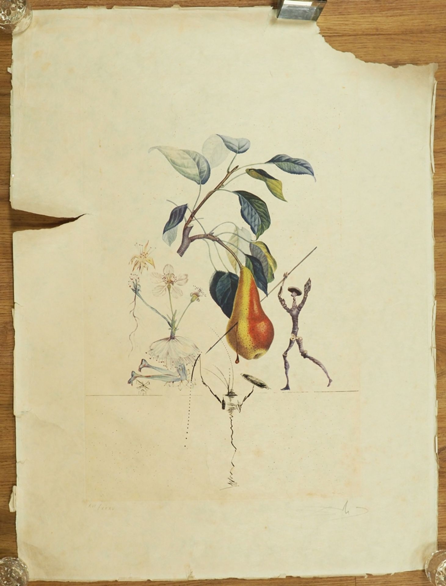 Salvador Dalí, Flordali - Poire.  - Bild 2 aus 6