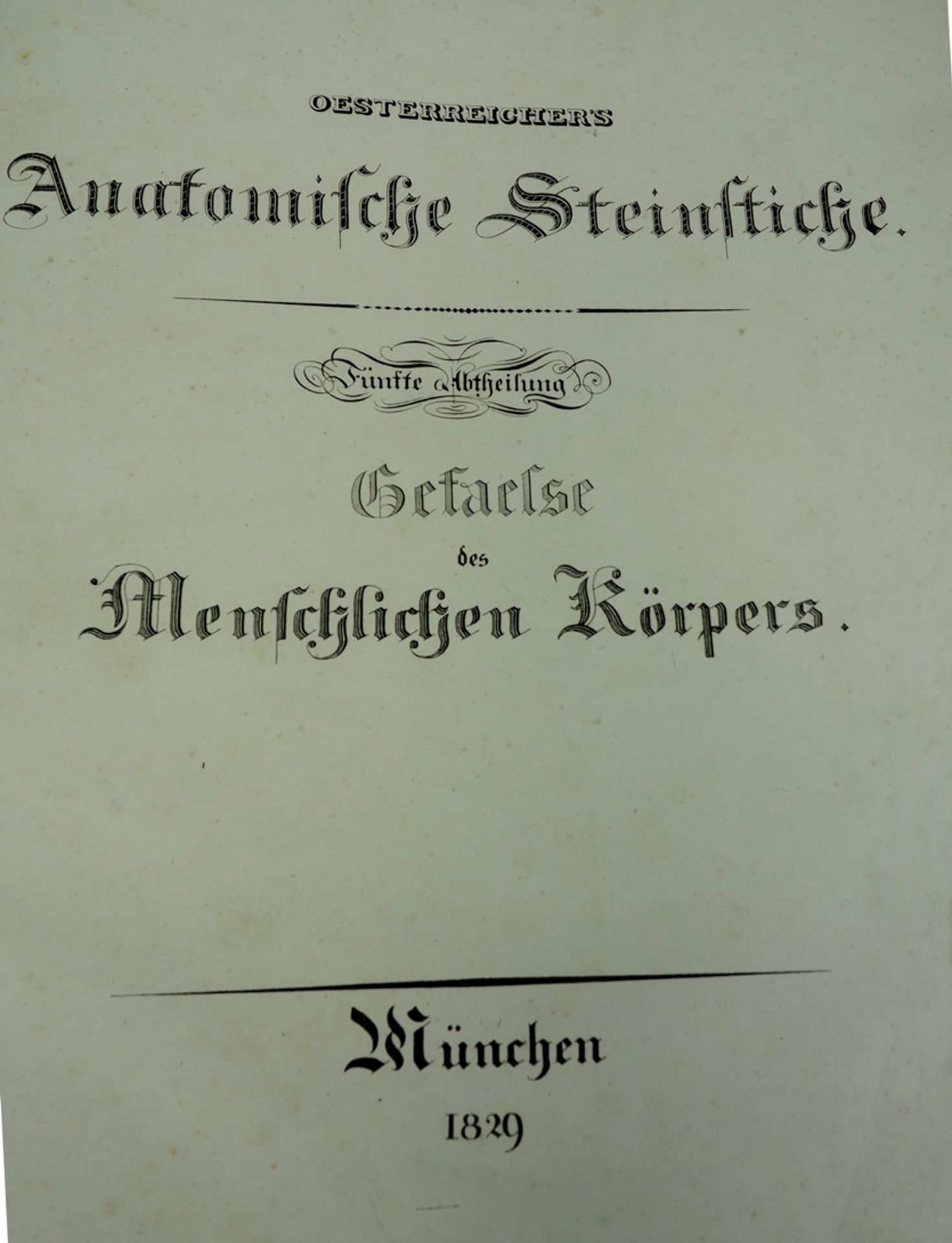 Oesterreicher, München: 'Anatomische Steinstiche'. 