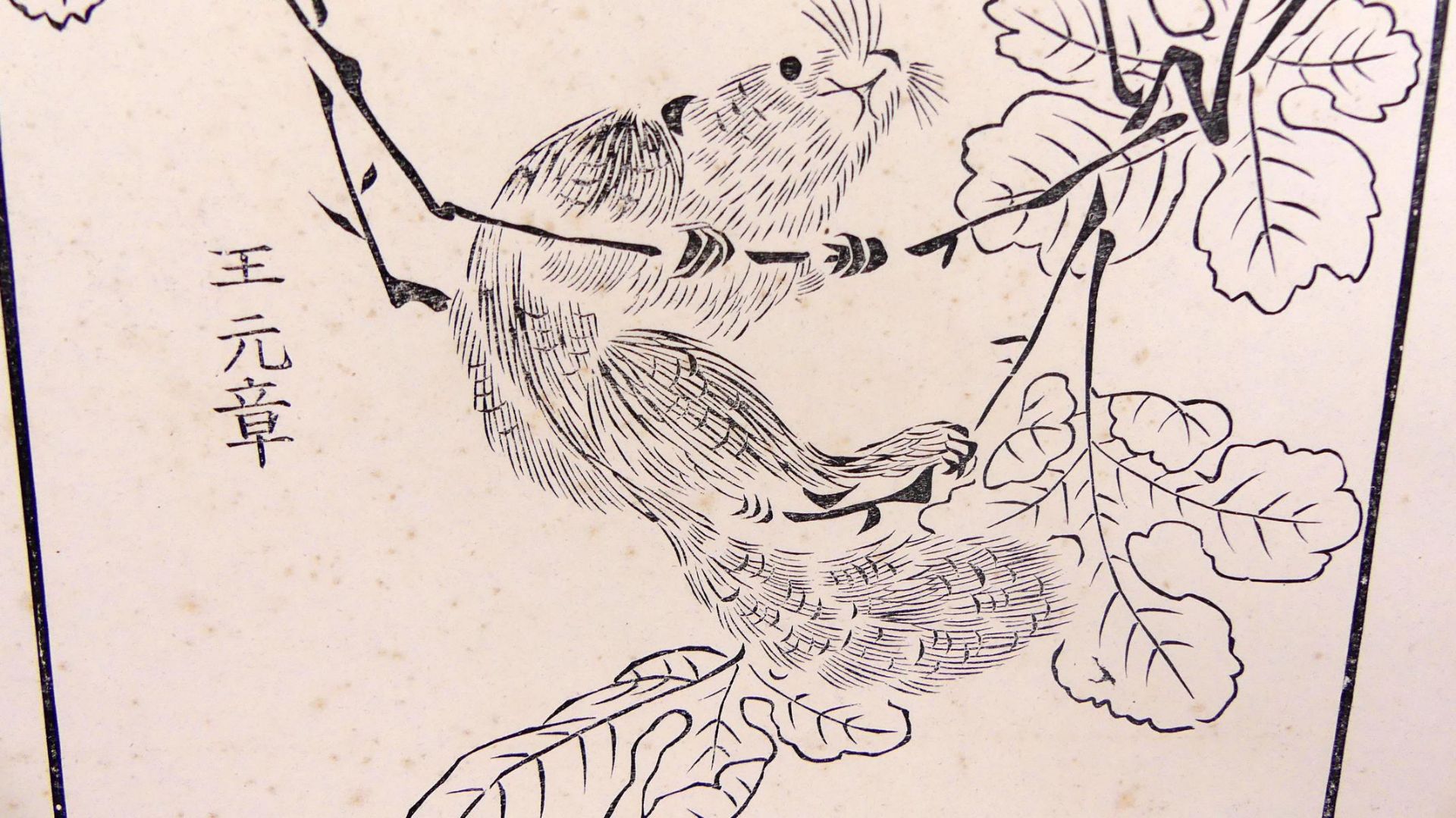 Alte japanische Grafik, "Vogel mit Eichhörnchen", - Image 3 of 3