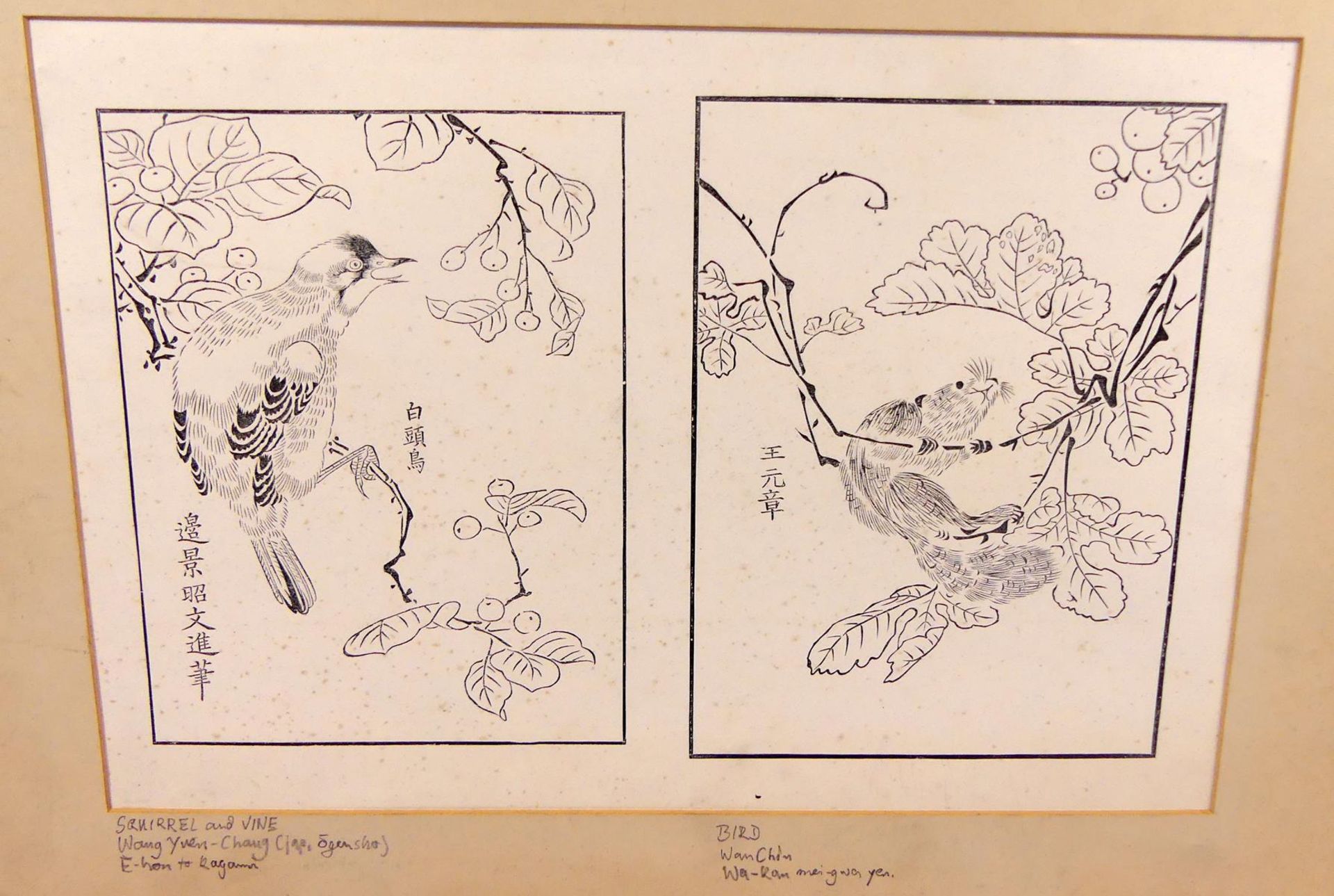Alte japanische Grafik, "Vogel mit Eichhörnchen",