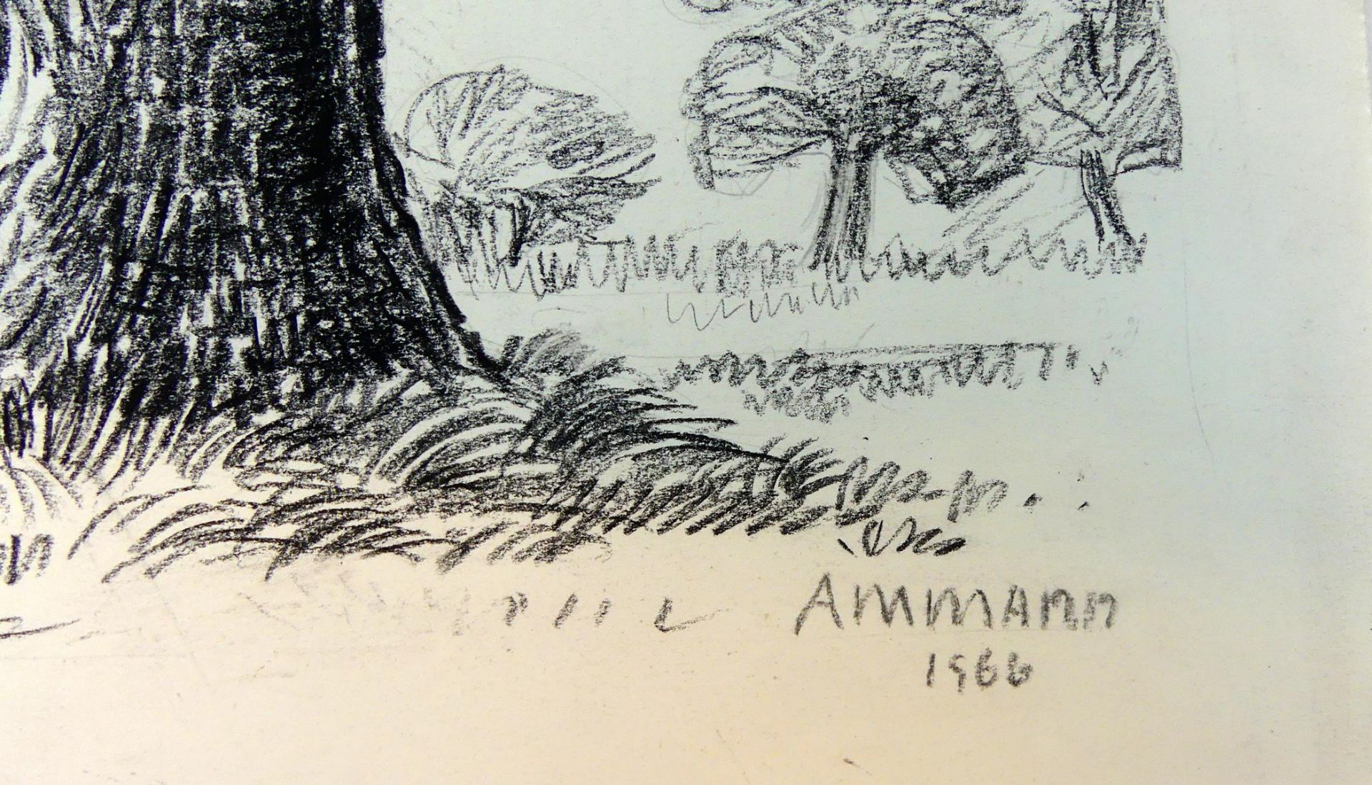 ARNOLD AMMANN, "Alte Eiche, Kohlezeichnung, u.re.sig., datiert 1966, - Bild 2 aus 3