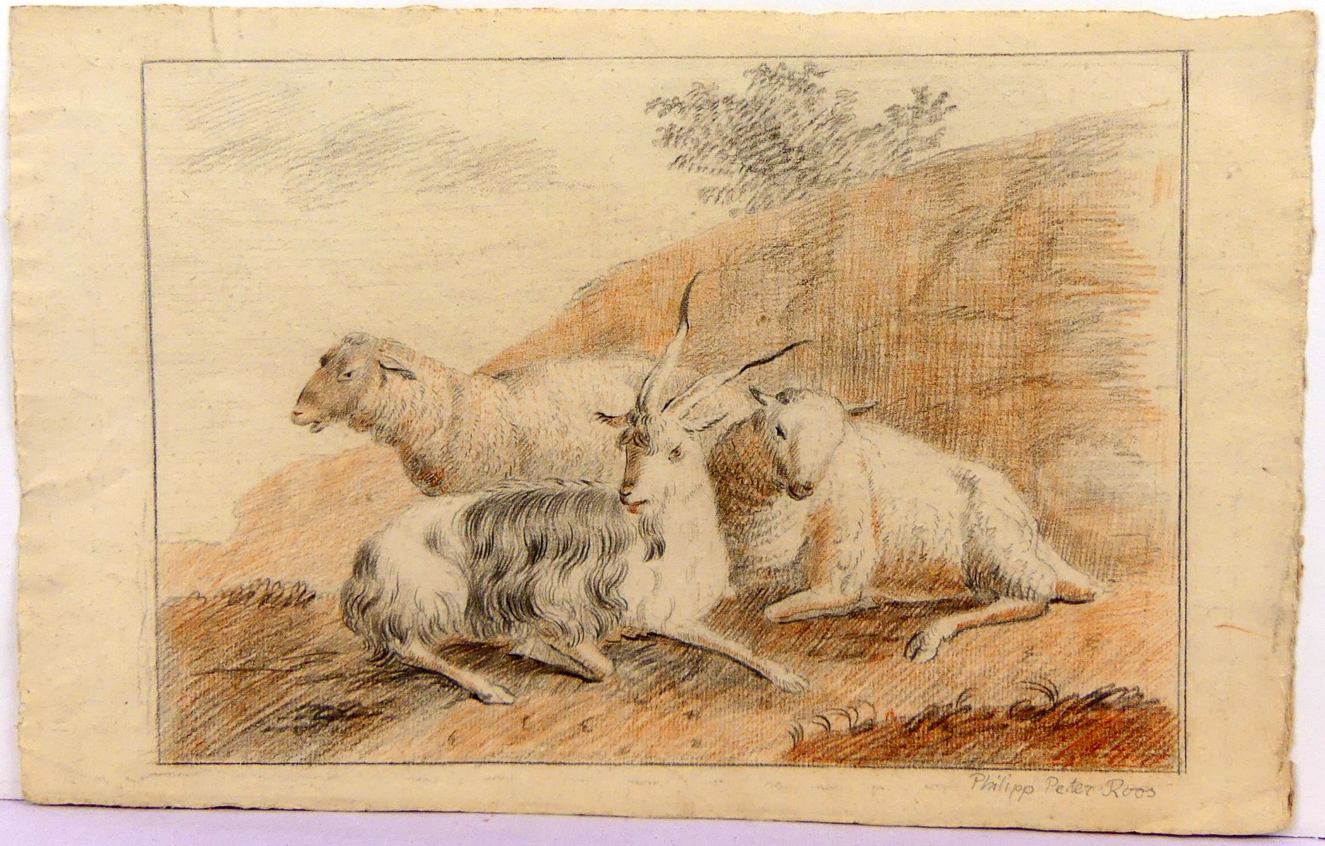 PHILIPP PETER ROOS, "Schafe mit Ziegen", Zeichnung,