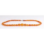 Amber necklace, with a row of graduated beads, the largest bead 18mm long, overall weight of the