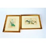 Eight original watercolours depicting dragonflies, butterflies and flowers, unsigned, two framed