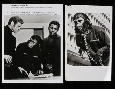 Press release photograph for the film "Conquest of the Planet of the Apes" (2) Provenance: From a