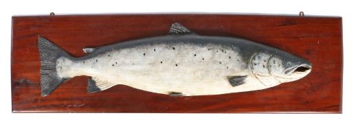 20th Century half model of a Trophy Salmon, in grey and white paint backed onto a mahogany board,