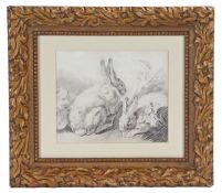 Attributed to George Morland (British, 1763-1804) A pair of rabbits, black crayon, 22cm x 27cm.