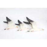 Beswick graduated set of three flying seagulls, 922-1 - 922-3, the largest 34cm wide