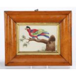 19th Century primitive school watercolour of a parrot, the colourful parrot standing on a branch,