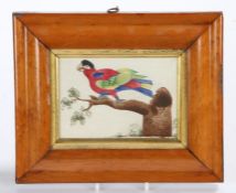 19th Century primitive school watercolour of a parrot, the colourful parrot standing on a branch,