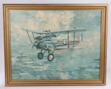 Framed print of a Bristol Bulldog aircraft by Coulson, specification sheet to reverse, 70 cm x 54