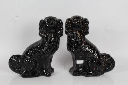 Pair of Victorian Staffordshire spaniels, the glazed black bodies with gilt highlights, 31cm high