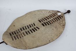 19th Century Zulu shield and knobkerrie, 47.5cm wide, 92cm high