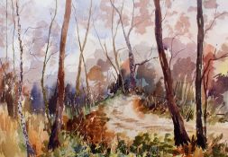 Sheila Harding (English School), landscape study of a woodland scene, initialled watercolour, housed