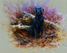 John Ryan (Contemporary) Black labrador, signed (lower-right), oil on board, 38cm x 48cm; together