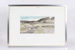 D. M. Patterson (20th Century) "In Wensleydale", coloured print numbered 14/50, signed and titled to