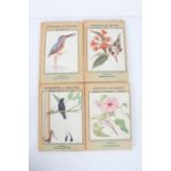 Torfrida "Nurseries Of Heaven Series - Wild Flowers of India, Flowering Trees Of India, Birds and