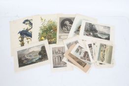 Ephemera to include Coloured plates of birds and buildings to include Goldfinch, Meadow Lark and