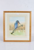 Leonard H. Pinder (Contemporary) Two ornithological studies: Kingfisher & Herring Gull, both signed,