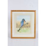 Leonard H. Pinder (Contemporary) Two ornithological studies: Kingfisher & Herring Gull, both signed,