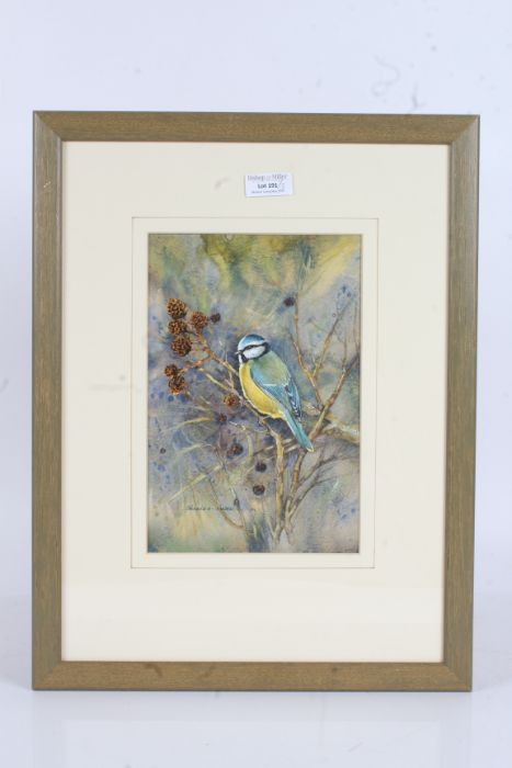 Leonard H. Pinder (Contemporary) Three ornithological studies: Blue Tit, Blackbird & Grey Wagtail,