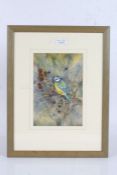 Leonard H. Pinder (Contemporary) Three ornithological studies: Blue Tit, Blackbird & Grey Wagtail,