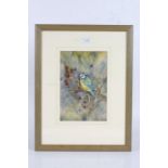 Leonard H. Pinder (Contemporary) Three ornithological studies: Blue Tit, Blackbird & Grey Wagtail,