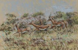 Martin Kidner (Contemporary) Impala, signed and dated 1983 pastel, 66cm x 43cm