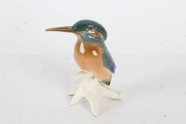 Karl Ens porcelain model of a kingfisher, model number 7579, 12cm high