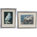 After Barry Driscoll (1926-2006) Snowy Owl, pencil signed print, Pelham Editions, 62cm x 44cm;