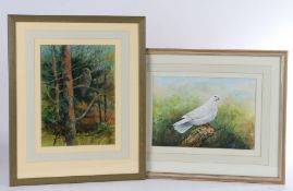 Leonard H. Pinder (Contemporary) White Dove, signed (lower-right), watercolour; together with Grey