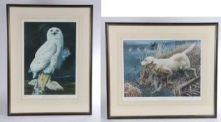 After Barry Driscoll (1926-2006) Snowy Owl, pencil signed print, Pelham Editions, 62cm x 44cm;