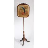 William IV rosewood and mahogany fire screen, the  wool work screen depicting a parrot among flowers