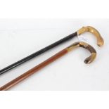 Two horn handled waking canes, one with ebonised shaft (2)