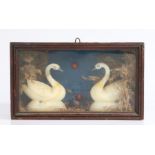 A Victorian Folk Art wooden cased diorama, twin wax swans on plinths, with other wildlife, in