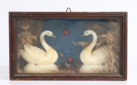 A Victorian Folk Art wooden cased diorama, twin wax swans on plinths, with other wildlife, in