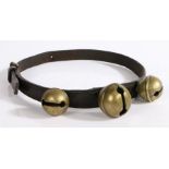 A late 19th/early 20th century dark brown leather dog collar with three attached brass bells, 64cm