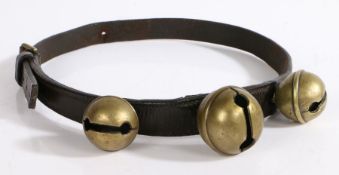 A late 19th/early 20th century dark brown leather dog collar with three attached brass bells, 64cm