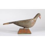 A late 19th/early 20th century painted wooden decoy pigeon, metal stud eyes, raised in later