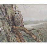 Neil Cox (British, Born 1955) 'Crack Willow - Tawny Owl'