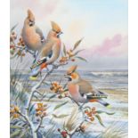 Carl Donner (British, Born 1957) 'Waxwings on Sea - Buckthorn'