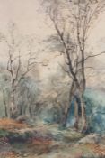 Christopher Maskell (British, 1846-1933) Woodland Scene