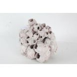 Large coral specimen (used as a vase), approx. 18cm wide, 20cm high