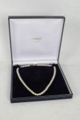 9 carat gold clasped pearl necklace, set with spherical pearls, 41cm long