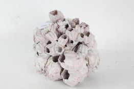 Large coral specimen (used as a vase), approx. 18cm wide, 20cm high