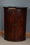 George III mahogany bowfront hanging corner cupboard, the pair of doors enclosing an interior with