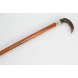 19th Century horn handled walking stick, possibly Rhinoceros horn, the arched horn handle above a